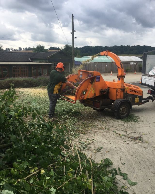 Small area of trees cleared ecopluged to prevent regrowth . Woodchip used to make it low maintenance # treesurgeons Herefordshire  # treesurgery Hereford #Ludlowtrailertrainingcentre.